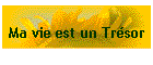 Ma vie est un Trsor